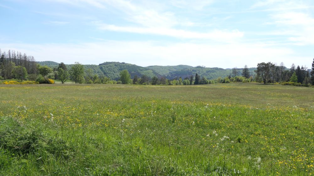 Ederhoehenweg