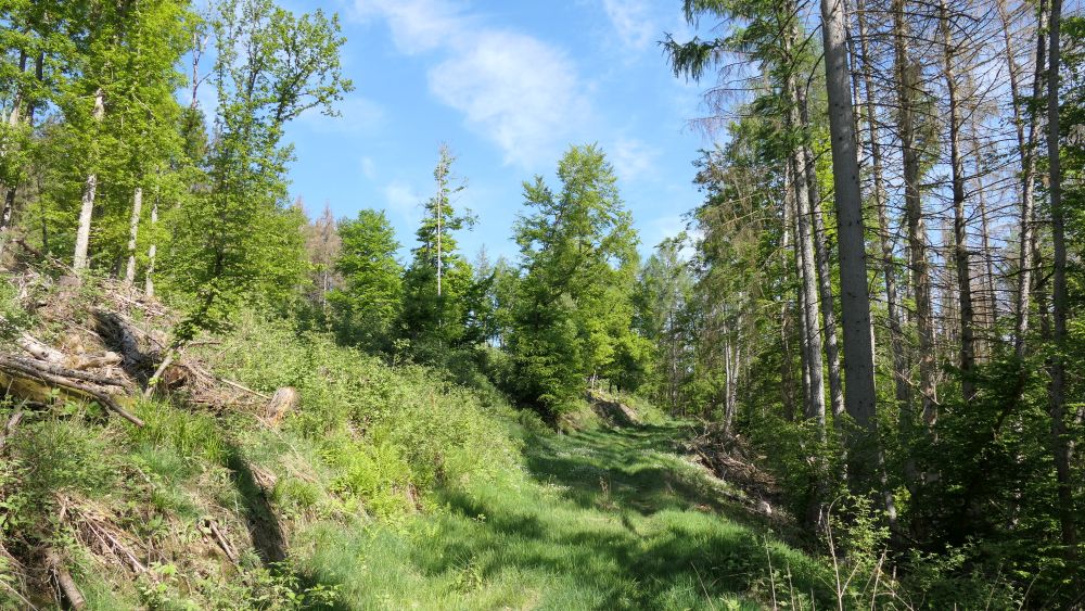 Ederhoehenweg