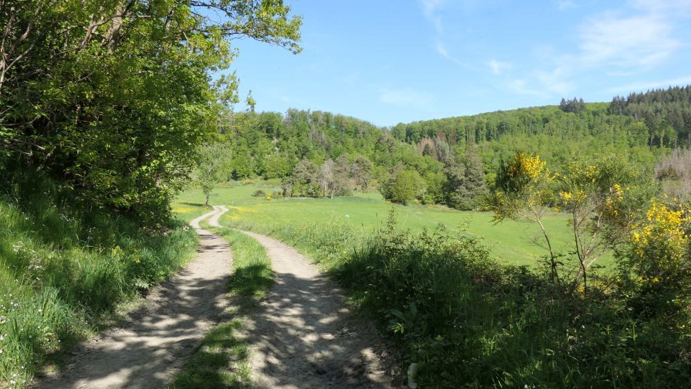 Ederhoehenweg