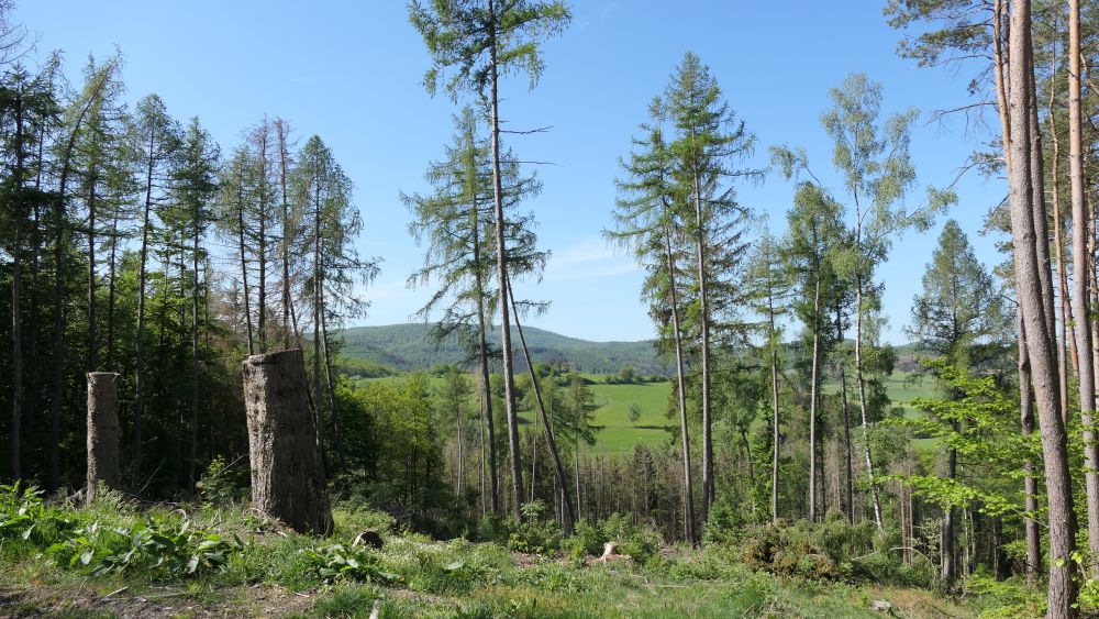 Ederhoehenweg