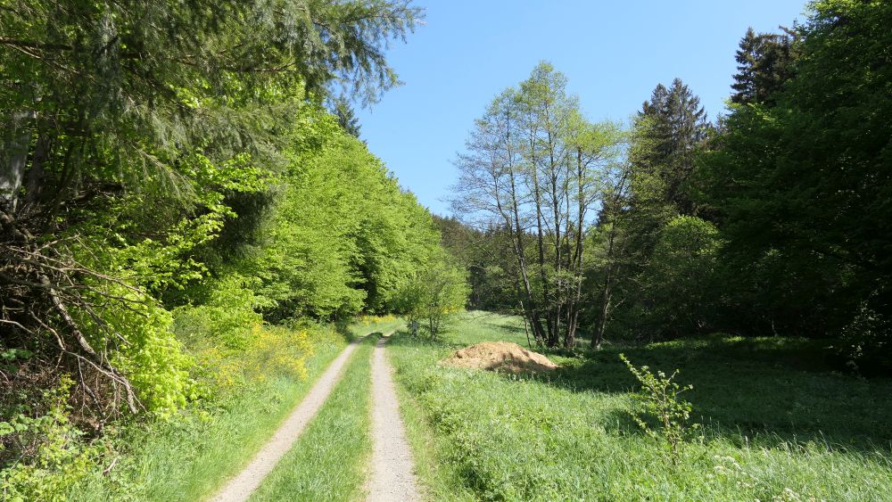 Ederhoehenweg