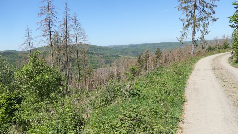 Ederhoehenweg