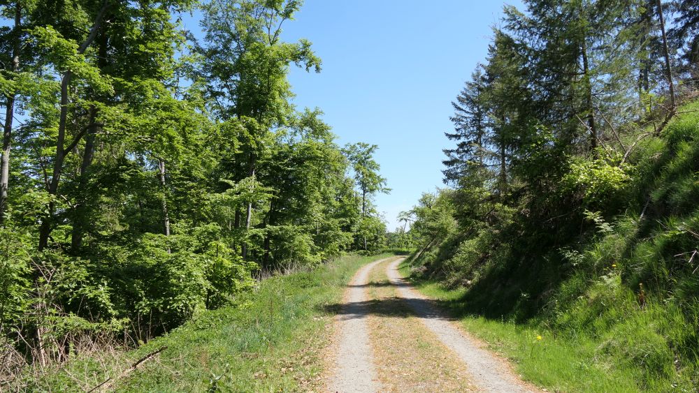 Ederhoehenweg