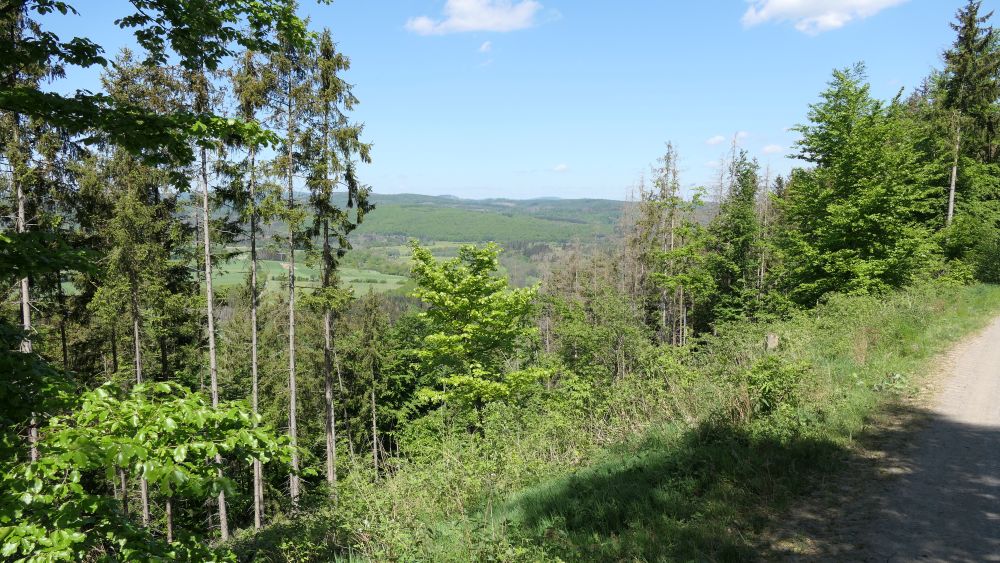 Ederhoehenweg