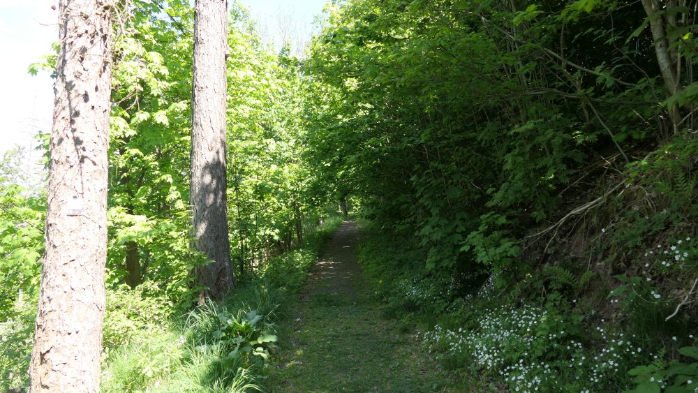 Ederhoehenweg