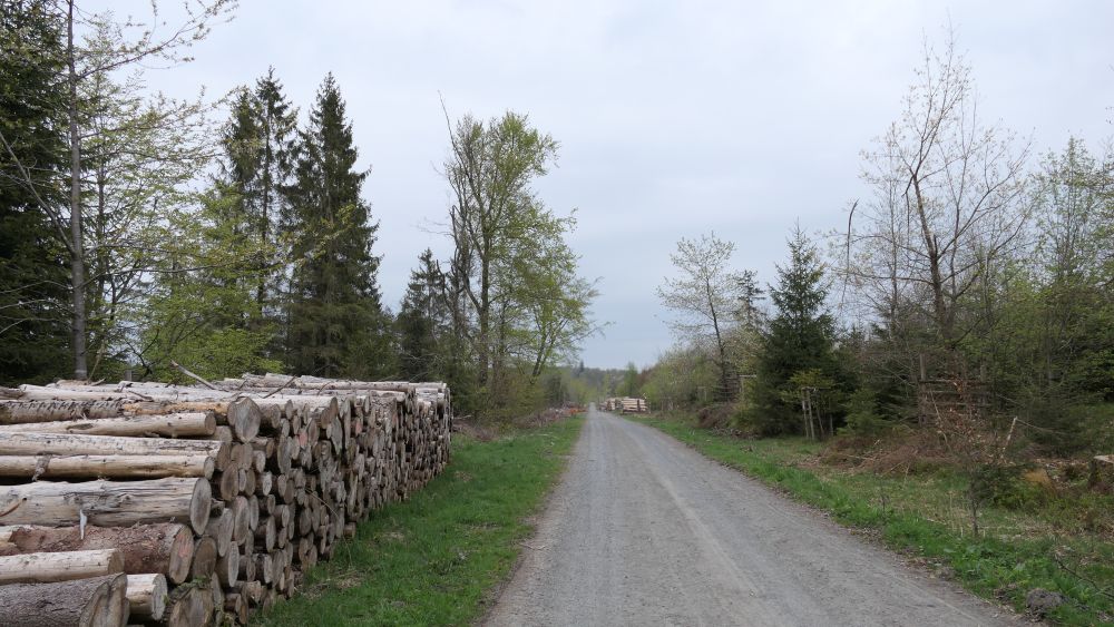 Ederhoehenweg