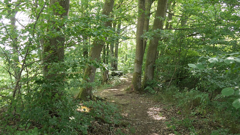 Ederhoehenweg