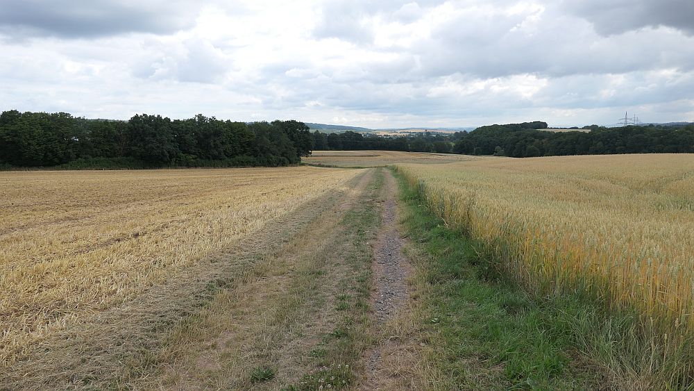 Ederhoehenweg