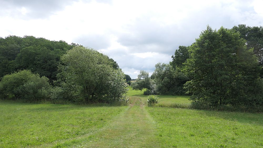 Ederhoehenweg