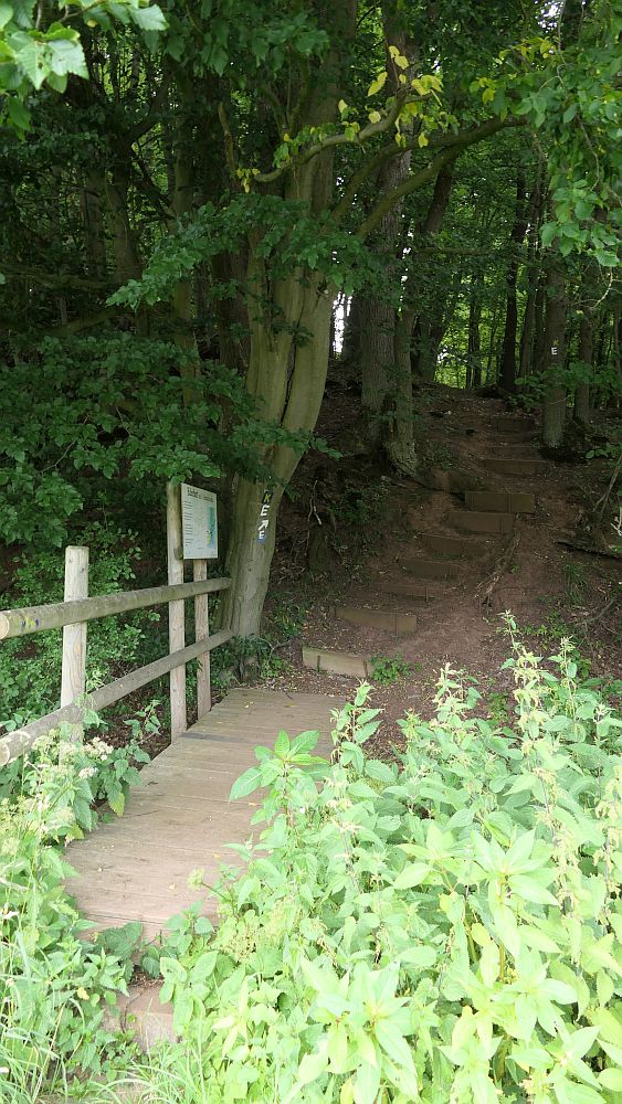 Ederhoehenweg