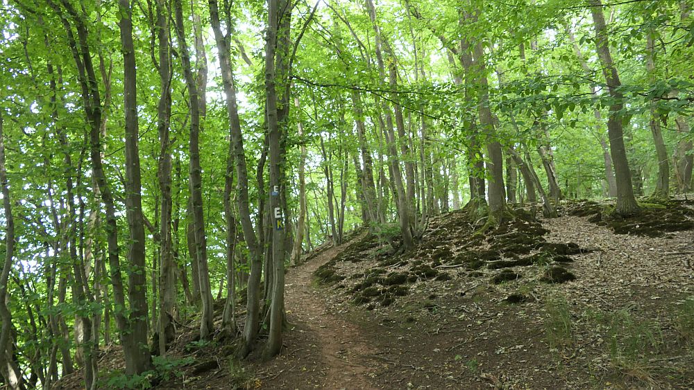 Ederhoehenweg