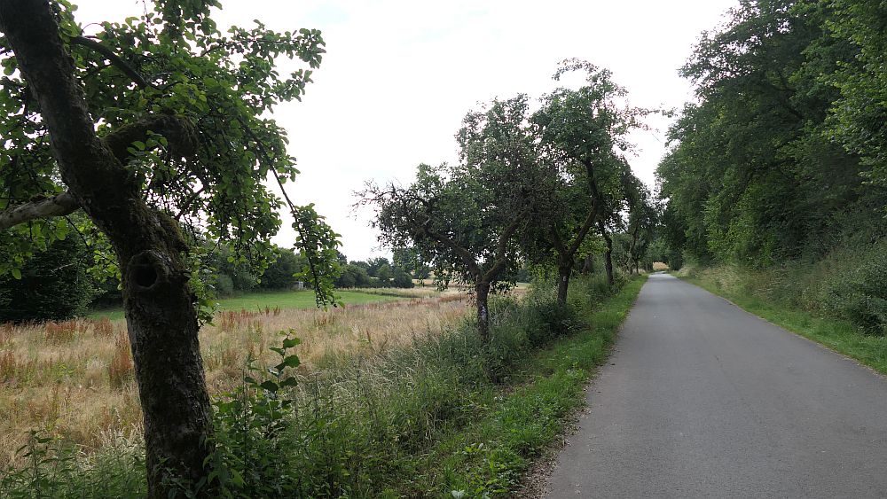 Ederhoehenweg