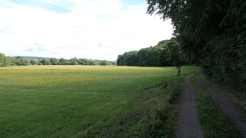 Ederhoehenweg
