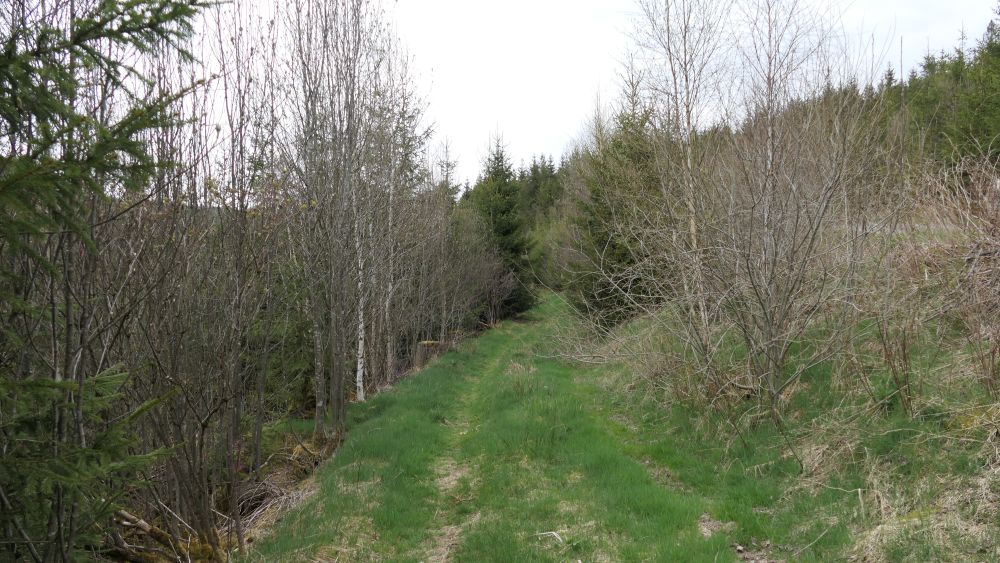 Ederhoehenweg