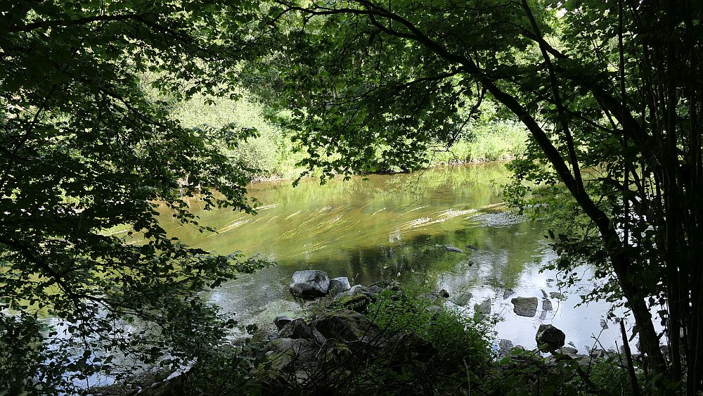 Ederhoehenweg