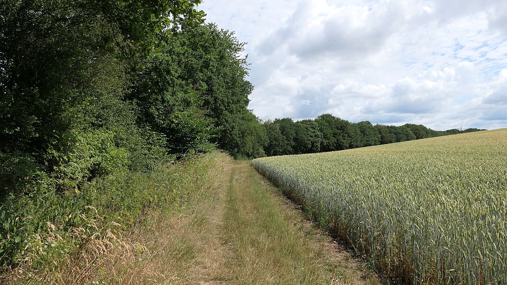 Ederhoehenweg