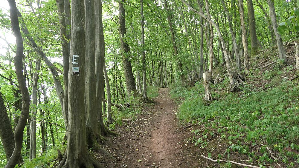 Ederhoehenweg