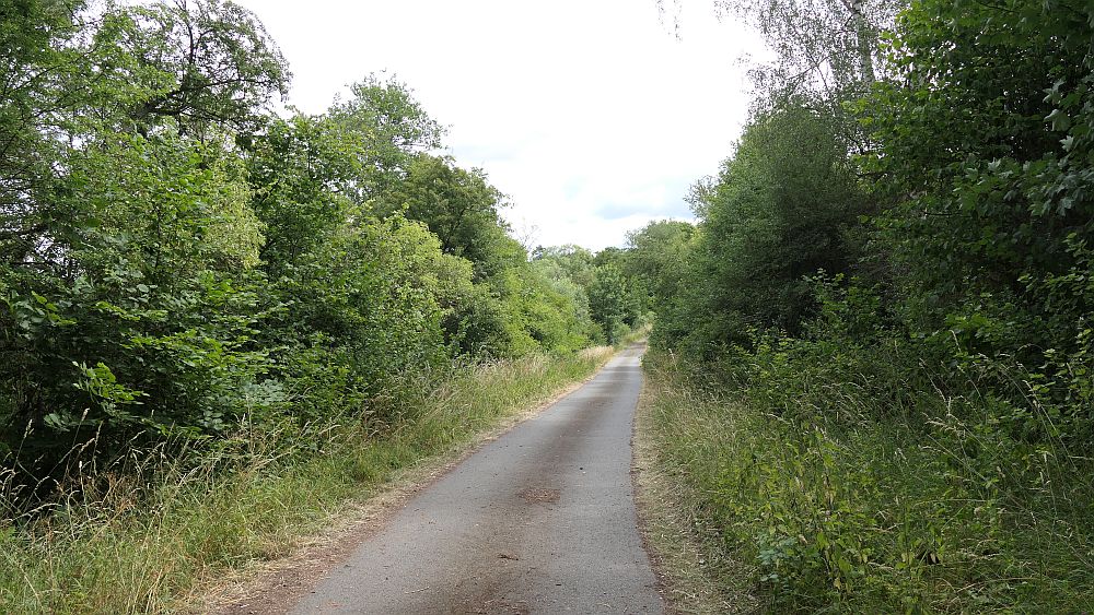 Ederhoehenweg