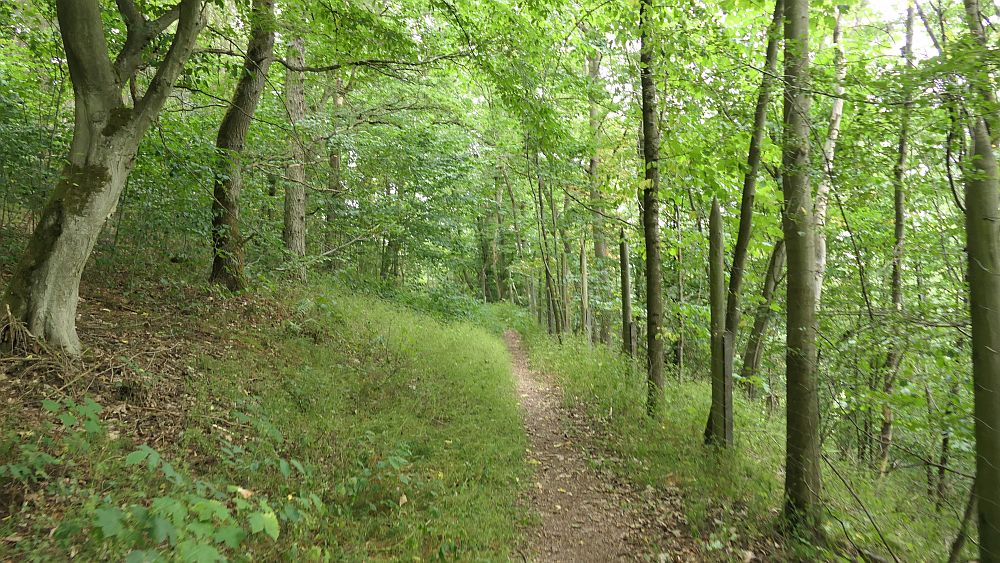 Ederhoehenweg