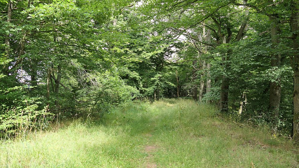 Ederhoehenweg