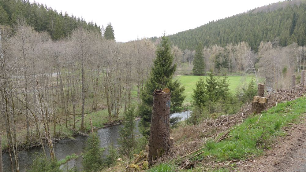 Ederhoehenweg