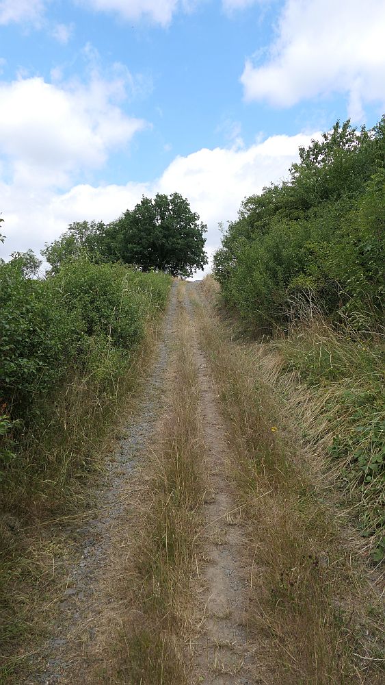 Ederhoehenweg