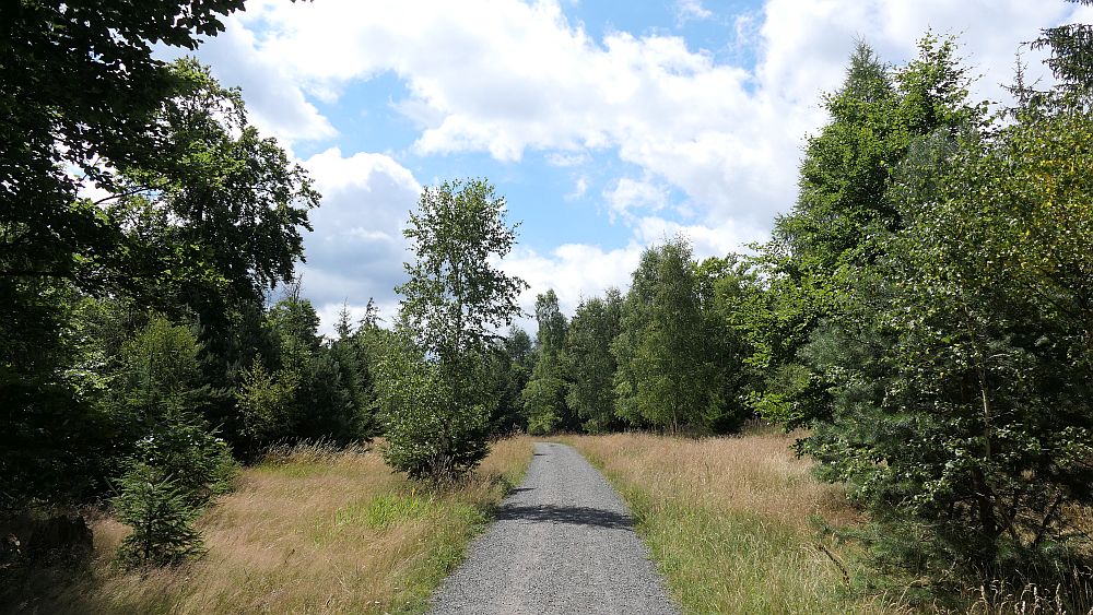 Ederhoehenweg