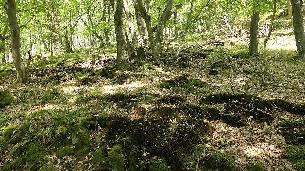 Ederhoehenweg