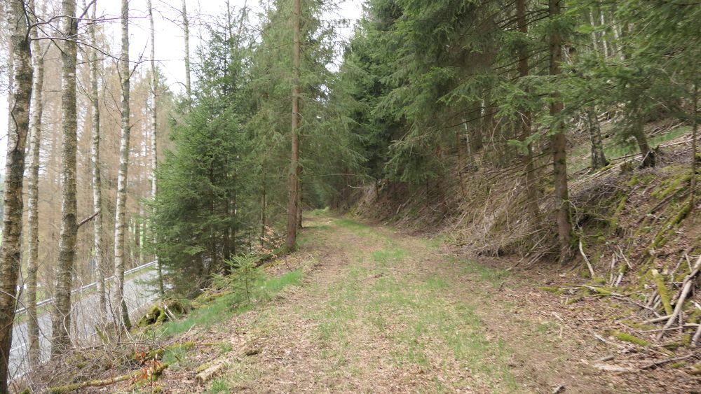 Ederhoehenweg