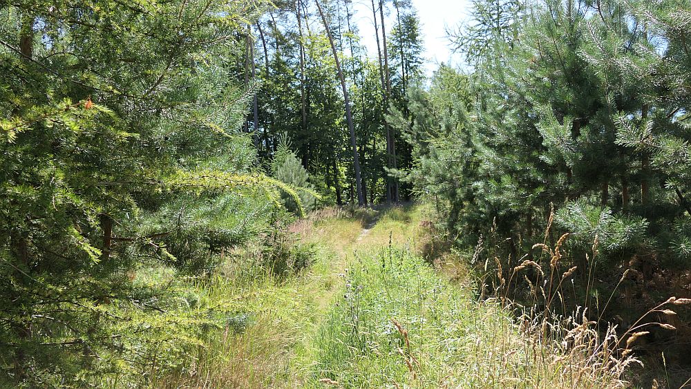 Ederhoehenweg