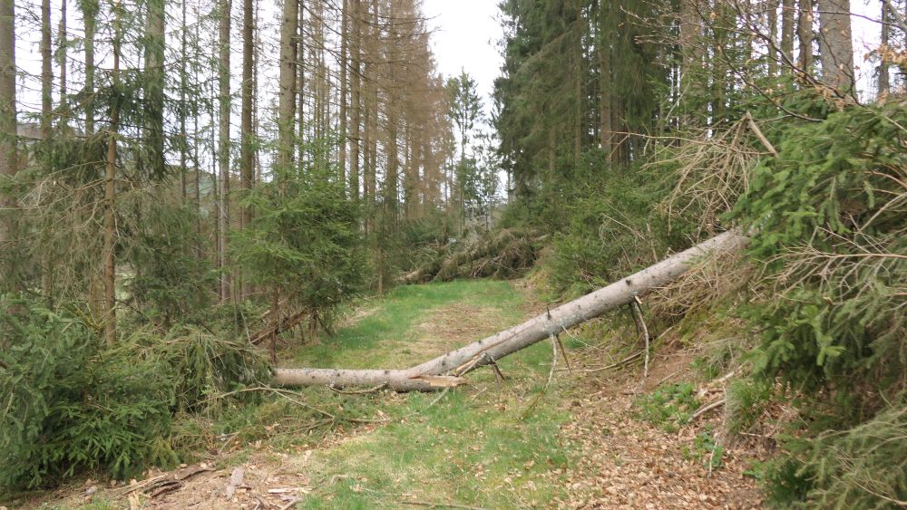 Ederhoehenweg