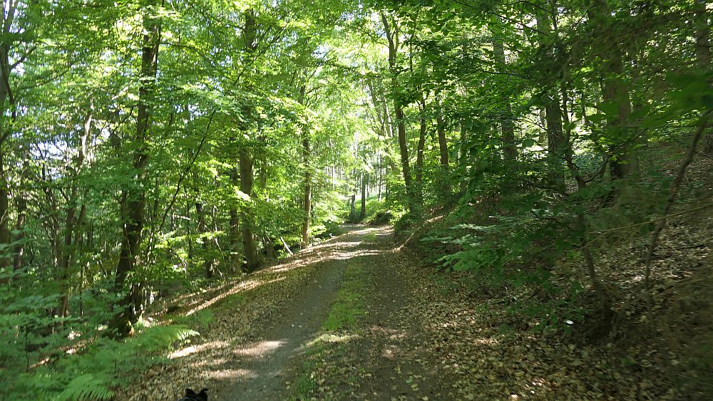 Ederhoehenweg