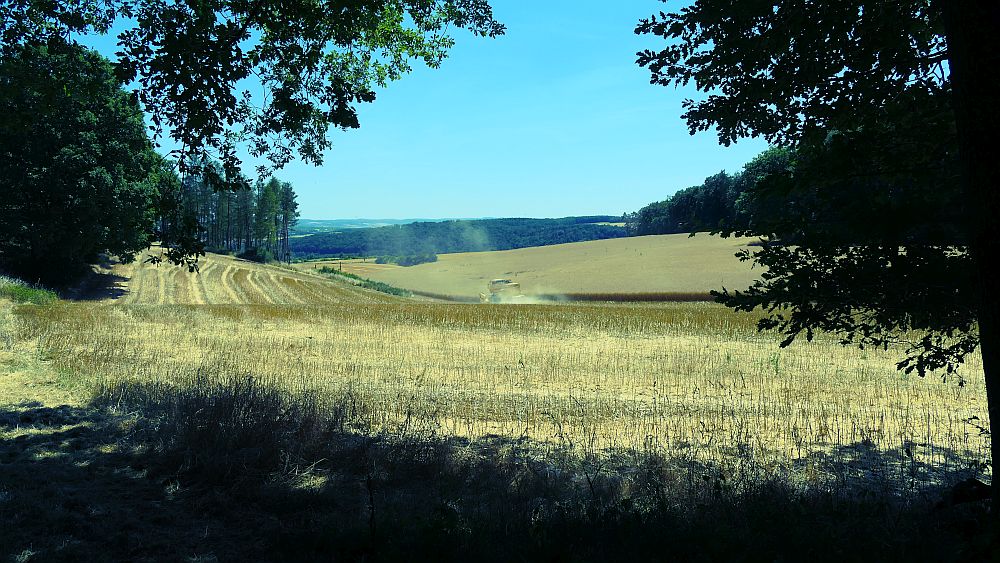 Ederhoehenweg