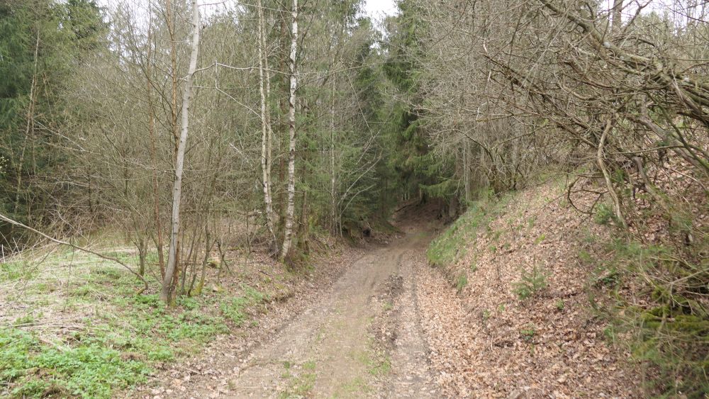 Ederhoehenweg