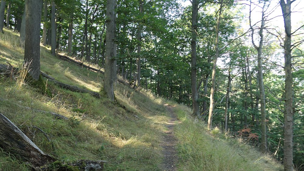 Ederhoehenweg