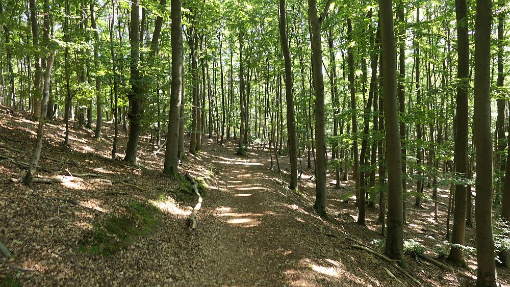 Ederhoehenweg
