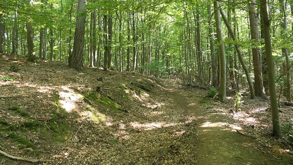 Ederhoehenweg