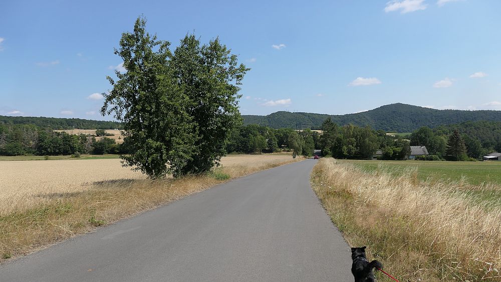 Ederhoehenweg