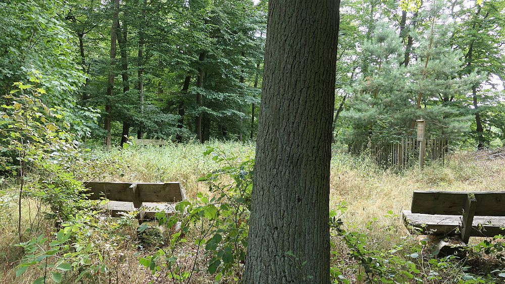 Ederhoehenweg