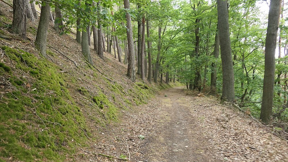 Ederhoehenweg