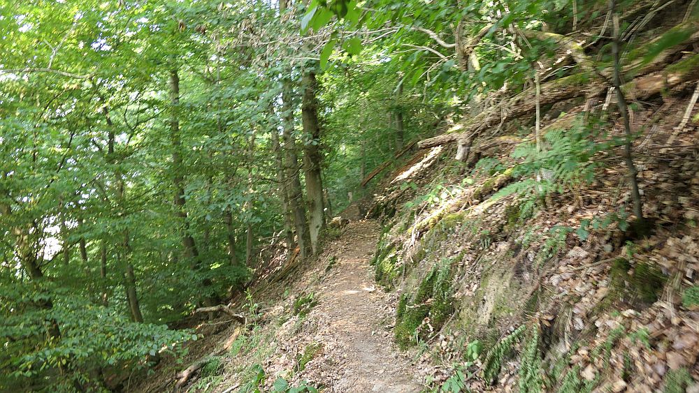 Ederhoehenweg
