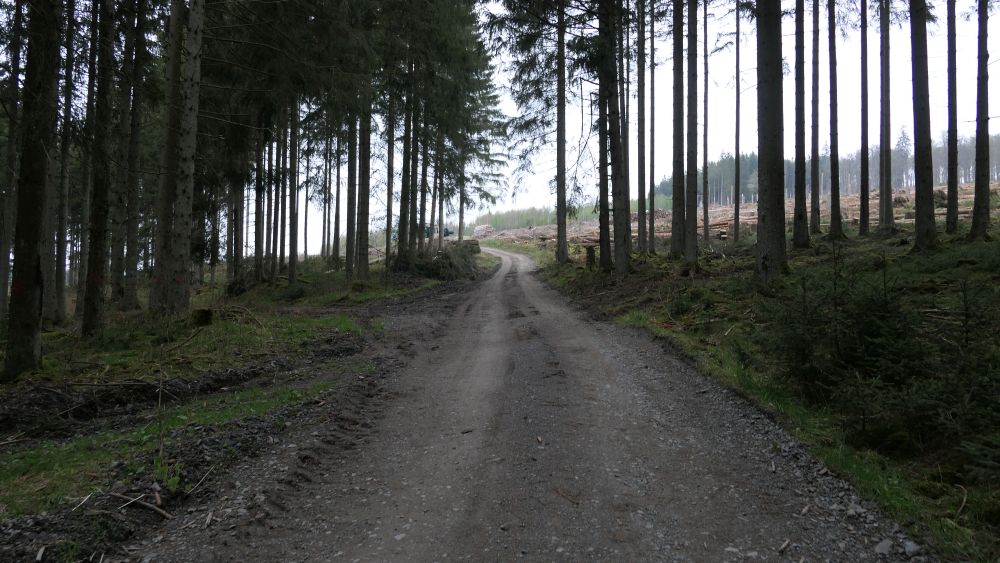 Ederhoehenweg