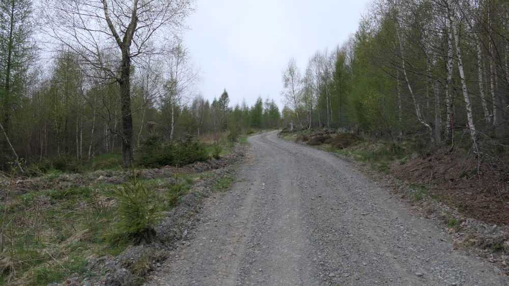 Ederhoehenweg