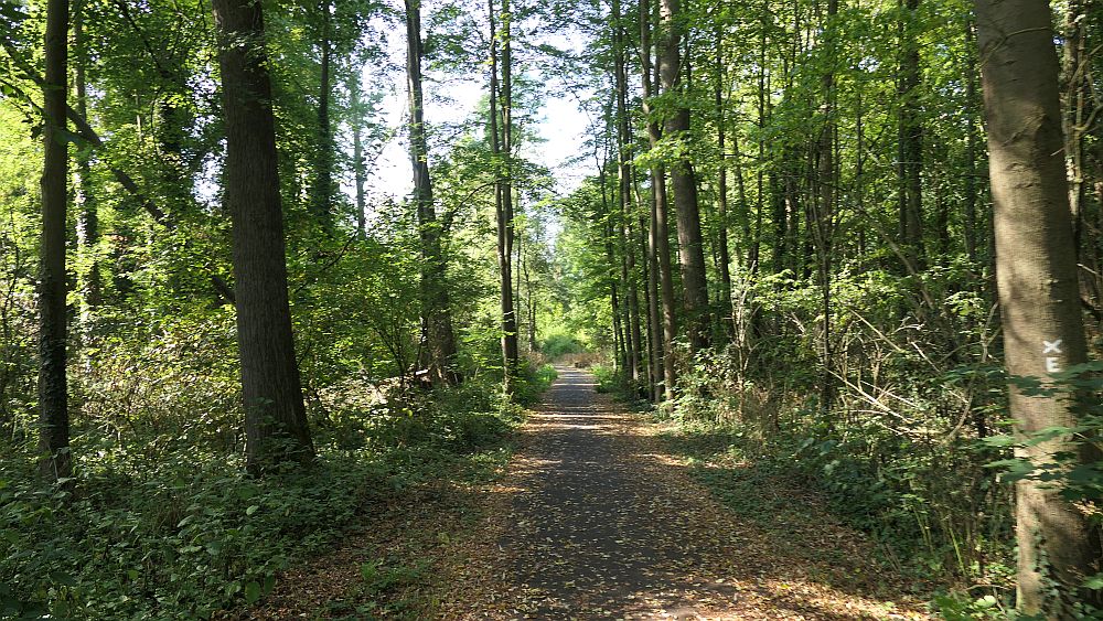 Ederhoehenweg