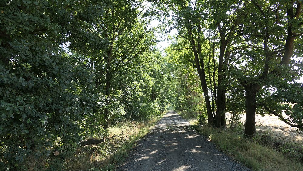Ederhoehenweg