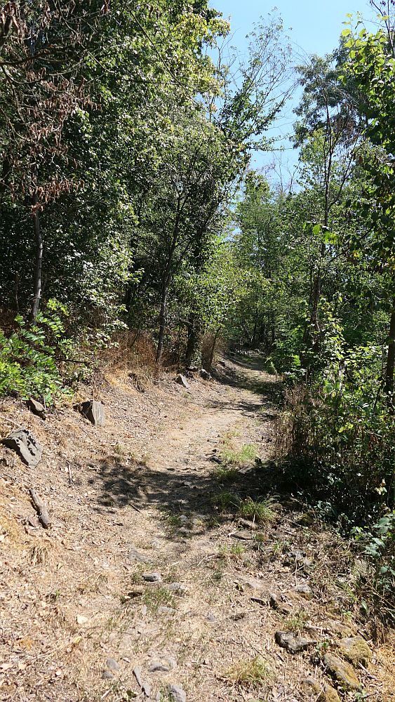 Ederhoehenweg