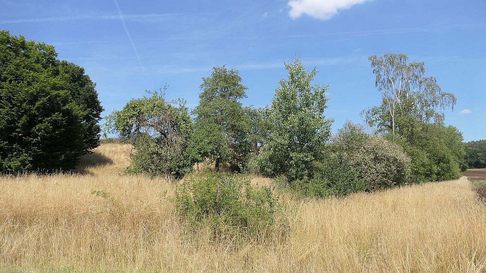 Ederhoehenweg