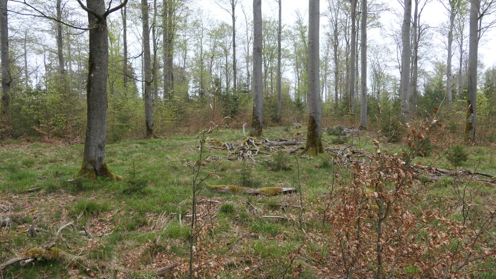 Ederhoehenweg