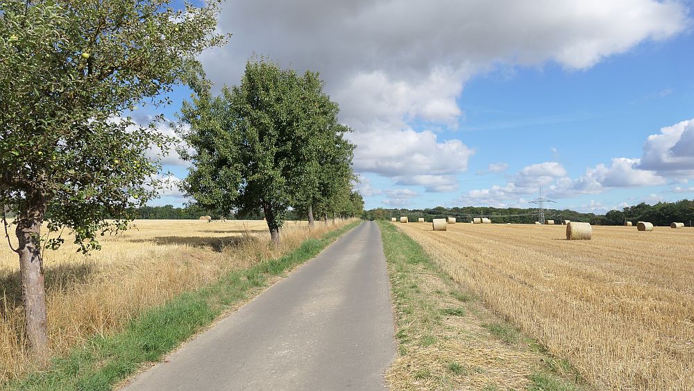 Ederhoehenweg