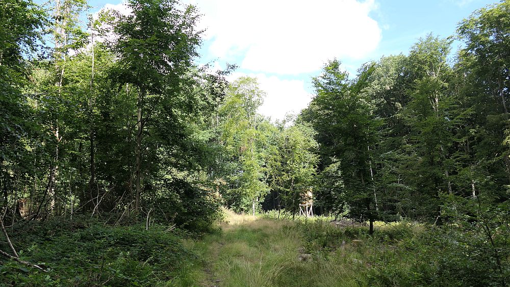 Ederhoehenweg